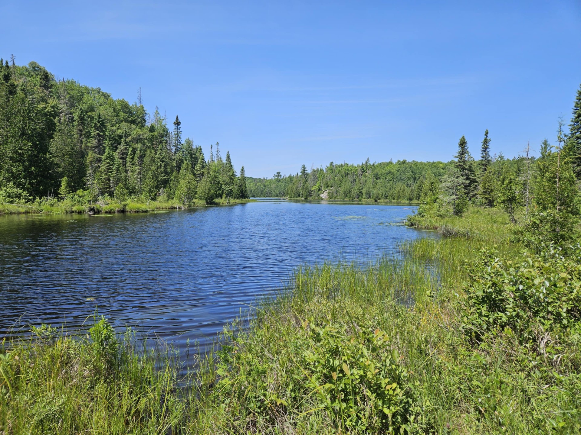 Calm river winding through boreal forest at Craig Lake State Park