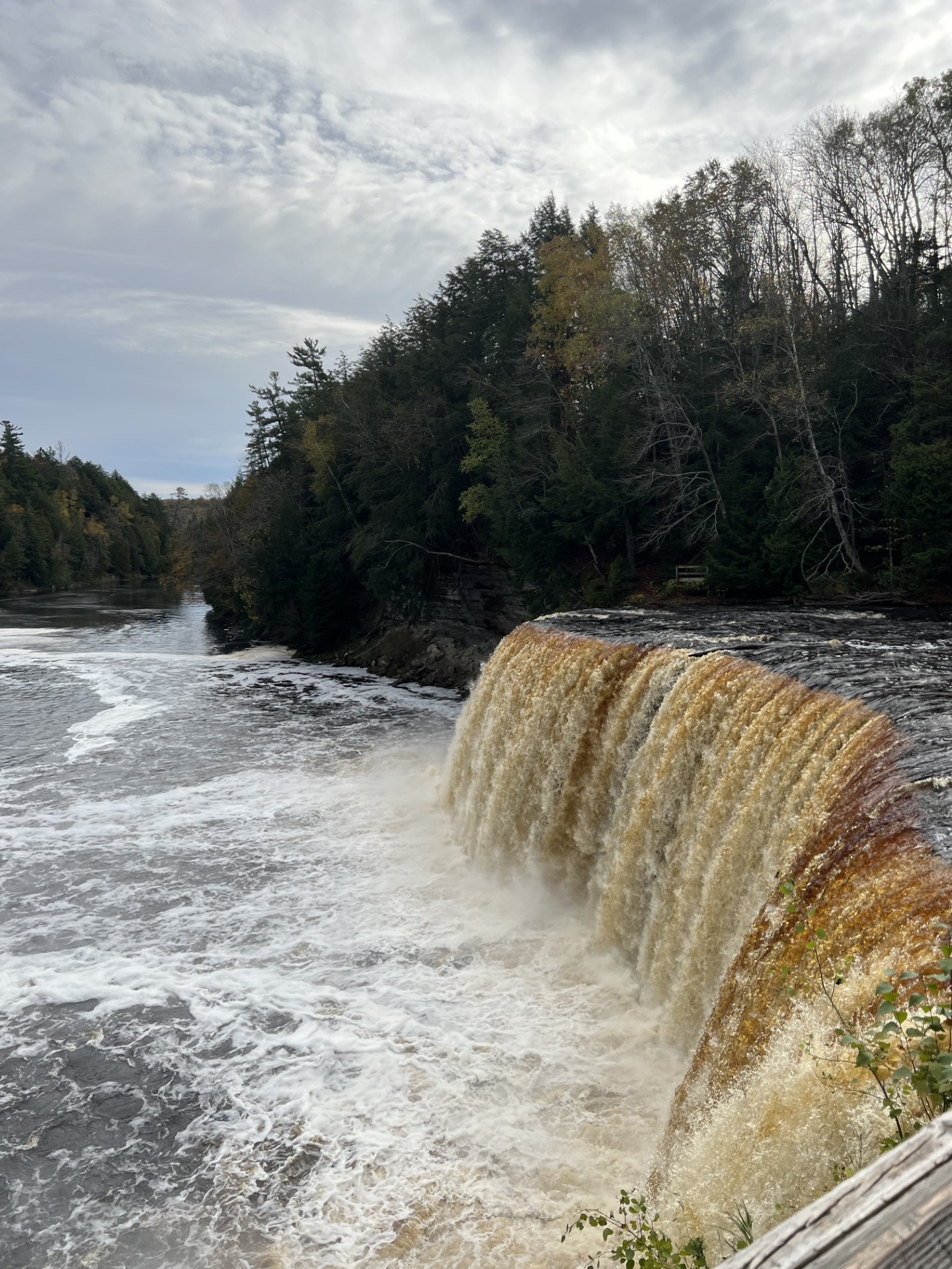 Tahquamenon Falls with tannin-colored water cascading over a wide ledge